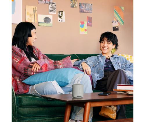 Sony SRS-XB100, vaaleanharmaa - Kannettava langaton kaiutin