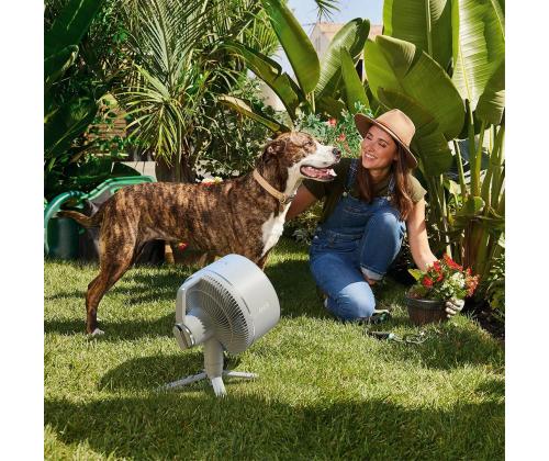 Shark FlexBreeze, valkoinen - Kannettava tuuletin