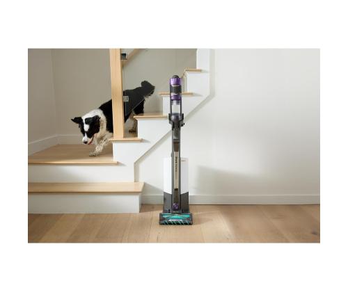 Shark PowerDetect Clean &amp; Tyhjä, beige/harmaa - Shark pölynimuri