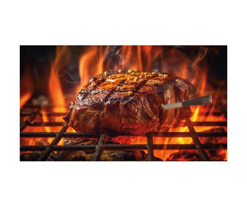 Ninja ProChef, musta/hopea - Ruokalämpömittari