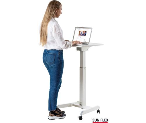 Säädettävä pöytä 600x520mm valkoinen