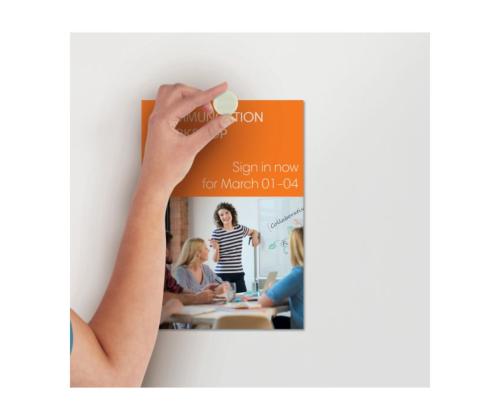 Taulumagneetti NOBO 13mm valkoinen 10 kpl