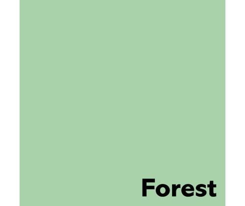Värviline paber A4 80g IMAGE Coloraction nr.65 pastelne roheline (Forest) 500 lehte