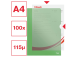 Muovitasku A4 (L) 100 mic Esselte 100 kpl paketissa