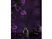Tuoksutuoksut AROMATIC 89 Black Grapes 50ml