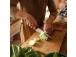 Fiskars Functional Form 1057536 Santoku-veitsi 16 cm