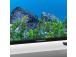 Televisio THOMSON 50 " 4K Ultra HD 3840 x 2160 pikseliä Flat 16:9 LED 50UG5X15 50UG5X15
