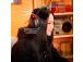 KUULOKKEET HYPERX CLOUD III S WRL/WL BK GAM A59YZAA HYPERX HYPERX