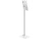 Tablet PC ACC lattiateline/9.7-11" FL15-650WH1 NEOMOUNTS