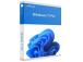 Ohjelmisto MICROSOFT Win Pro FPP 11 64-bit Eng Intl USB Win Pro Retail HAV-00163