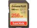 MUISTI SDXC 256GB UHS-1/SDSDXWV-256G-GNCIN SANDISK