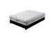 Summer HARMONY DUO SEASON 90x200xH29cm, kashmir, rullalaukku