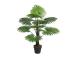 Keinotekoinen puu FAN PALM, K100cm