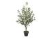 Keinotekoinen puu WIND OLIVE H100cm