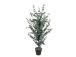 Tekopuu WIND EUCALYPTUS H120cm