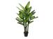 Keinotekoinen Timotei WIND DIEFFENBACHIA H150cm