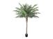 Keinotekoinen puu WIND PALM H260cm