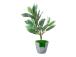 Keinotekoinen kasvi GREENLAND H27cm, lehti valkoisilla reunoilla