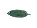 Koriste AMY LEAF 39x13x6,3cm