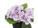 Keinotekoinen kukka Puutarhassa H18cm, violetti hortensia potis