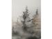 Taustakuva WALLY 30x90cm, kuusimetsä