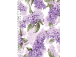 Kehyskalenteri Nature A5, kierresidonta ( kuva 3) 40243 40243