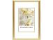 Kuvakehys 21x30cm kultainen