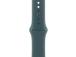 Apple Sport Band, 42 mm, S/M, vihreä - Kellohihna