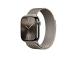 Apple Milanese Loop, 46 mm, M/L, ruostumaton teräs - Kellon hihna