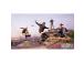 Tony Hawk's Pro Skater 3+4, PlayStation 4 - Peli