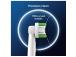 Braun Oral-B Precision Clean Pro, 6 tk, valkoinen - Varuharjad