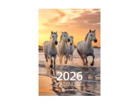 Flaier-luettelo Sulemees 2024