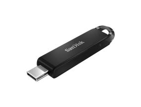 MUISTIASEMA FLASH USB-C 256GB/SDCZ460-256G-G46 HINKILEVY