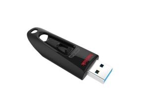 MUISTIASEMA FLASH USB3 256GB/SDCZ48-256G-U46 SANDLEVY