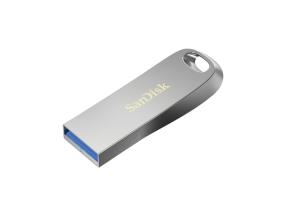 MUISTIASEMA FLASH USB3.1/256GB SDCZ74-256G-G46 HINKILEVY