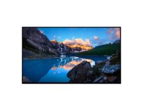 LCD-MONITORI 24" U2424H IPS/WITHOUT STAND 210-BLBT DE