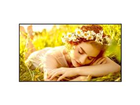 NÄYTTÖ LCD 65"/65UL5Q-E LG