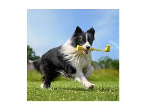 ACTION CAM ACC NOUTO KEPPI//GO 3 CINSBBKP INSTA360