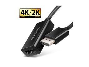 I/O-SOVITIN DP:STÄ HDMI/0.15M:IIN RVD-HI20N AXAGONIIN