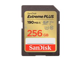 MUISTI SDXC 256GB UHS-1/SDSDXWV-256G-GNCIN SANDISK