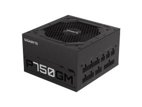 GIGABYTE GP-P750GM 750 W ATX 12V v2.31