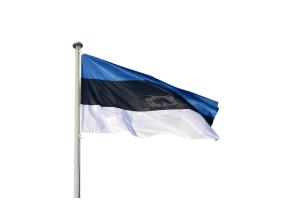 Maston lippu Viron 105x165cm
