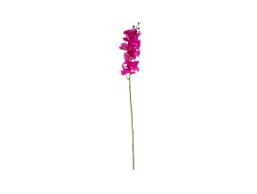 Orkidea FLOWERLY K94cm, violetti