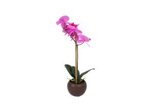 Purppura orkidea 1 oksalla PUUTARHASSA, K46cm, musta ruukku