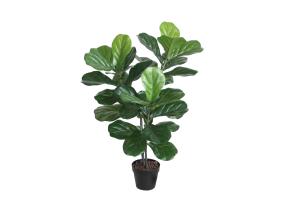 Tekopuu FIDDLE LEAF, H100cm, 2 vartta, musta ruukku