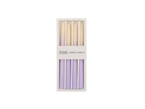 Antiikkikynttilä CAROLA 4kpl 25cm violetti/valkoinen helmiäisperuna