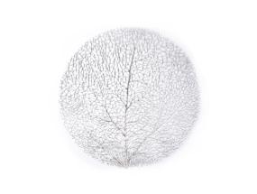 Pöytämatto SILVER TREE, D38cm, hopeapuu