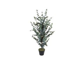 Tekopuu WIND EUCALYPTUS H120cm