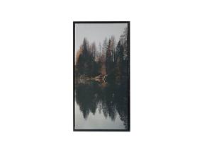 Seinäkuva WALLY 30x60cm, metsä C