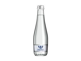 Kivennäisvesi NEPTUNAS 0.33L (hiilihapotettu, lasipullo)
